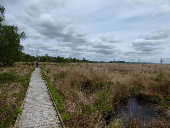 Foulshaw Moss Nature Reserve